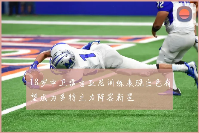 18岁中卫雷吉亚尼训练表现出色有望成为多特主力阵容新星