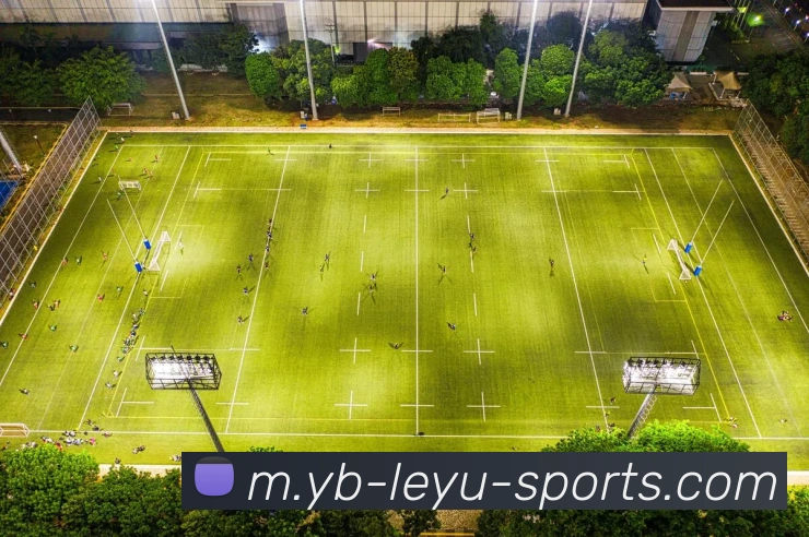 乐鱼体育APP 封面图